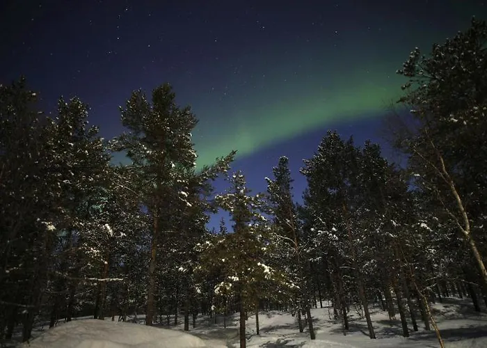 Samanitieva * Энонтекиё