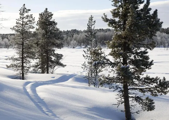 Шале Samanitieva Энонтекиё