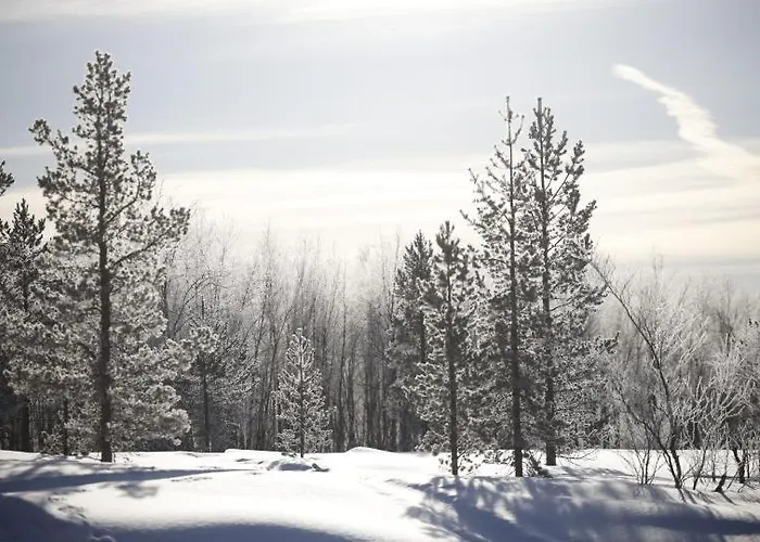 Samanitieva Энонтекиё